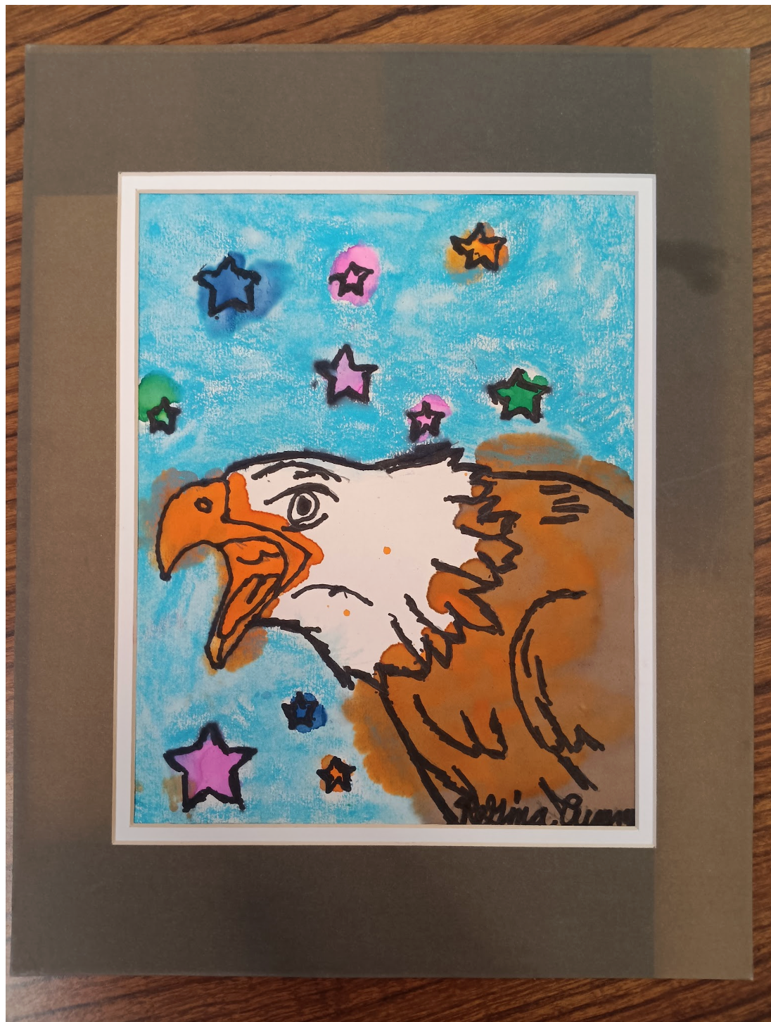 Bald Eagle